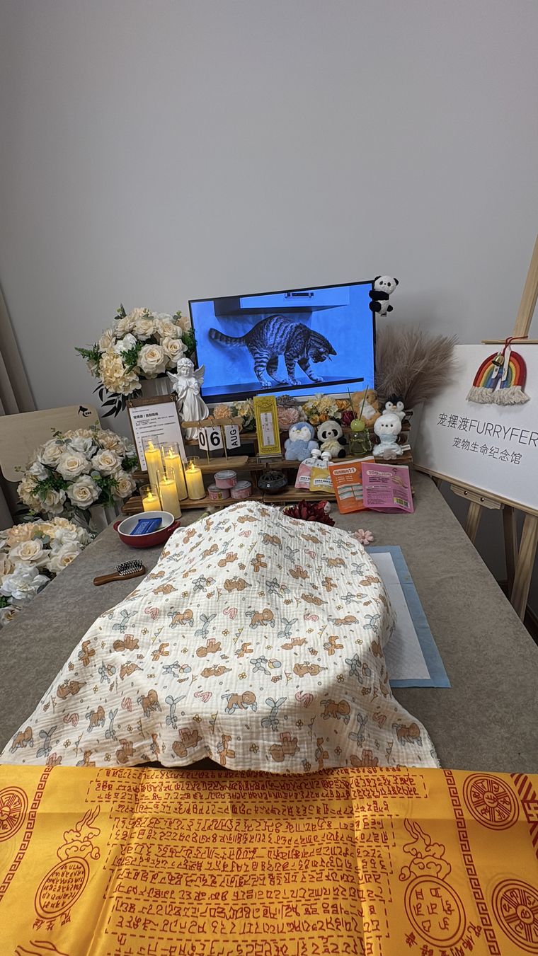 南京宠物火化全流程拆解：一枚骨灰需要多久