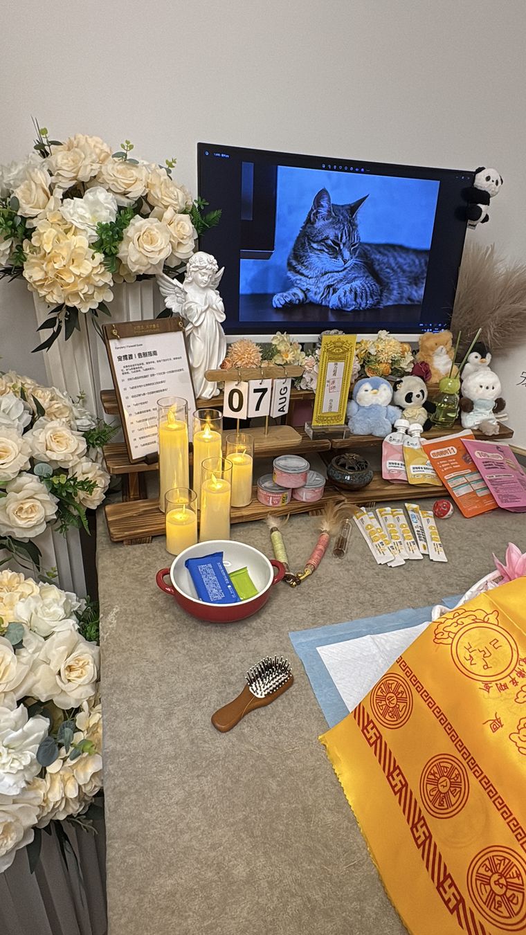 南京梧桐海伦堡告别厅